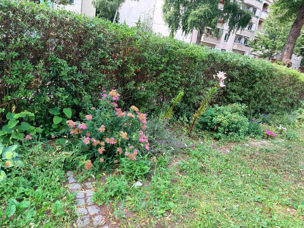 Blühende Beete rund ums Jahr